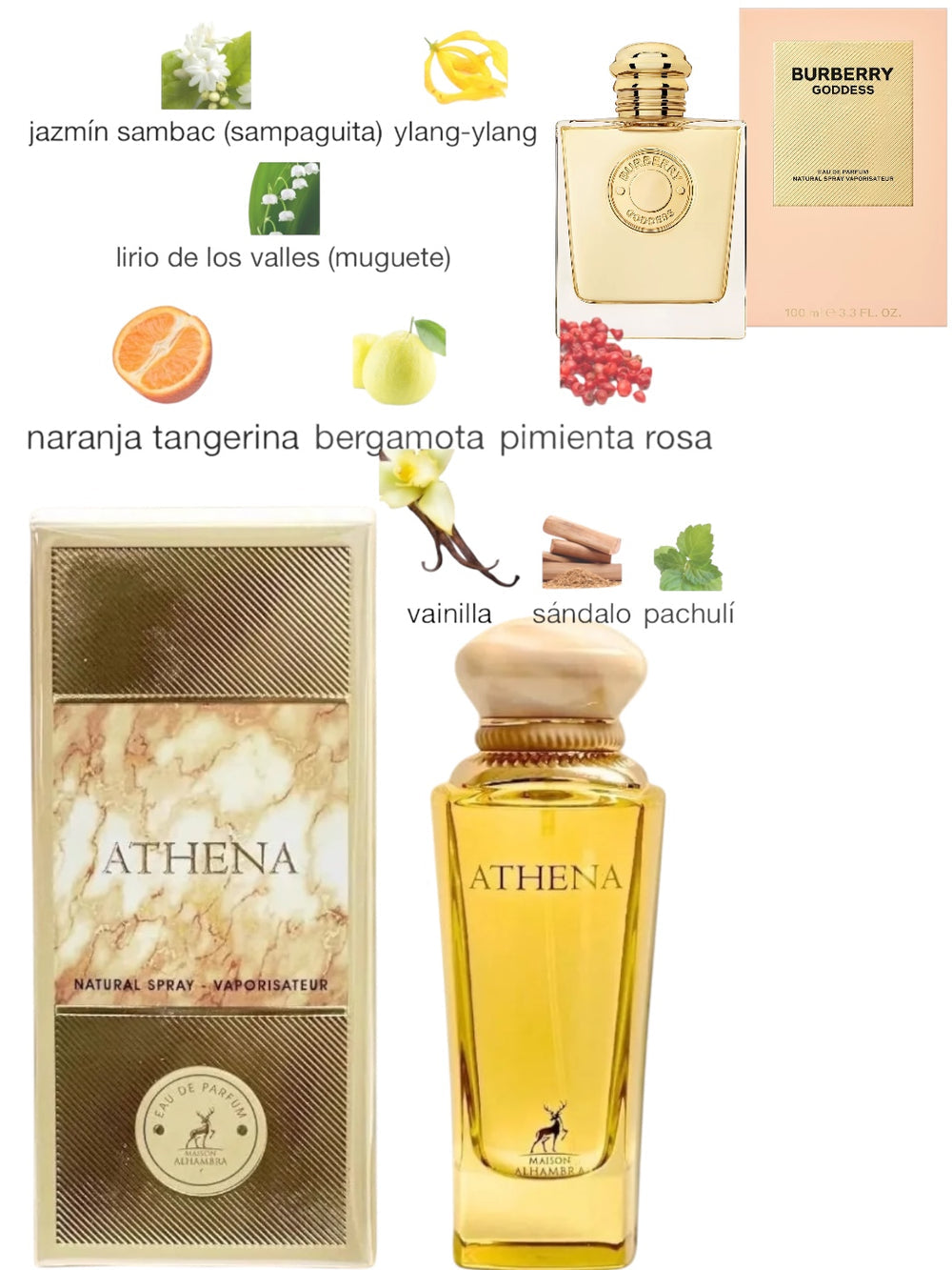 Maison Alhambra "ATHENA"